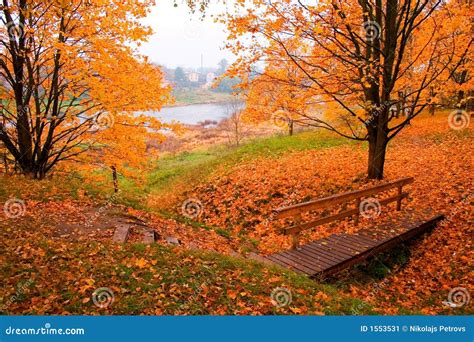 dreamstime photo